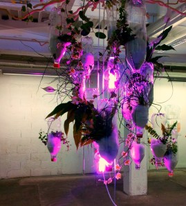 Installation poétique de plantes dépolluantes